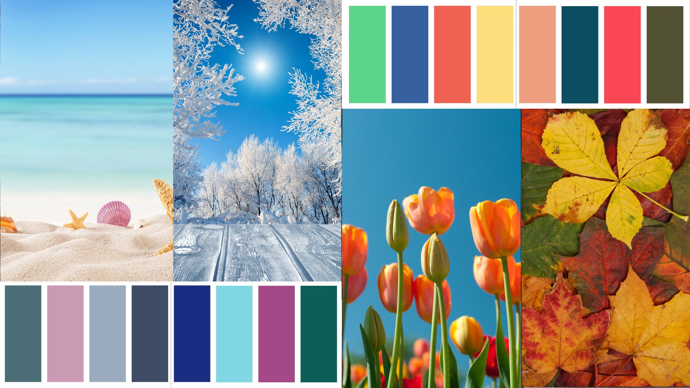 2024 seasonal color analysis guide showing four color palettes with swatches for Spring, Summer, Autumn, Winter seasons