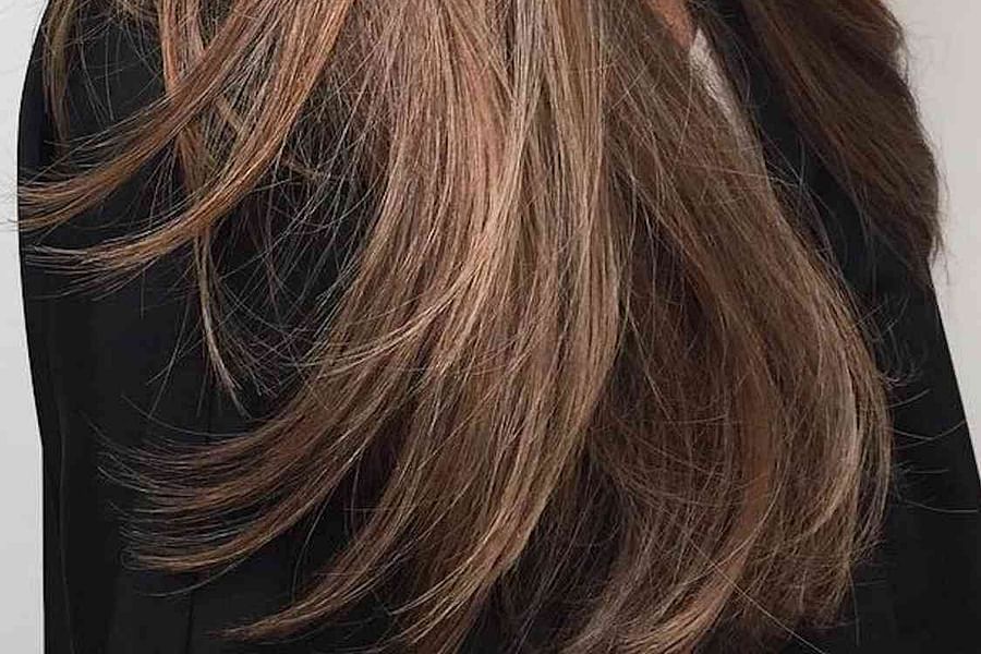 Mocha Chestnut Hair Color