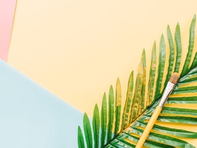 A Comprehensive Soft Summer Color Guide: Picking the Perfect Hues for Your Wardrobe