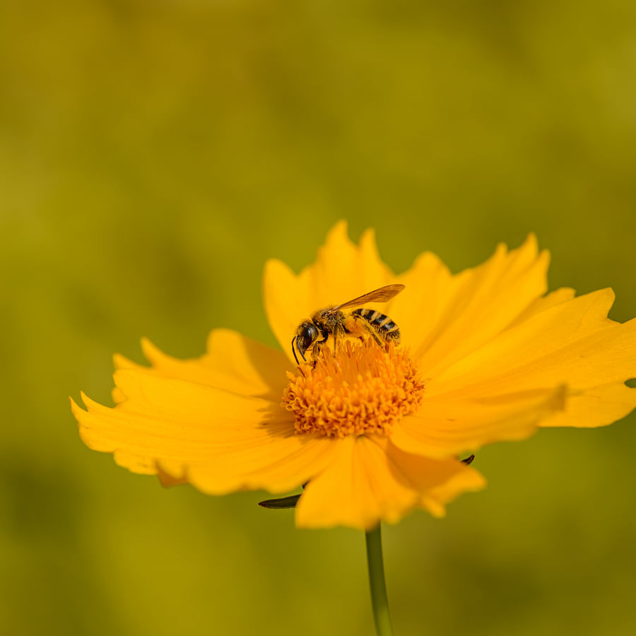 Close-up view of a soft summer color palette showcasing a range of pastel hues