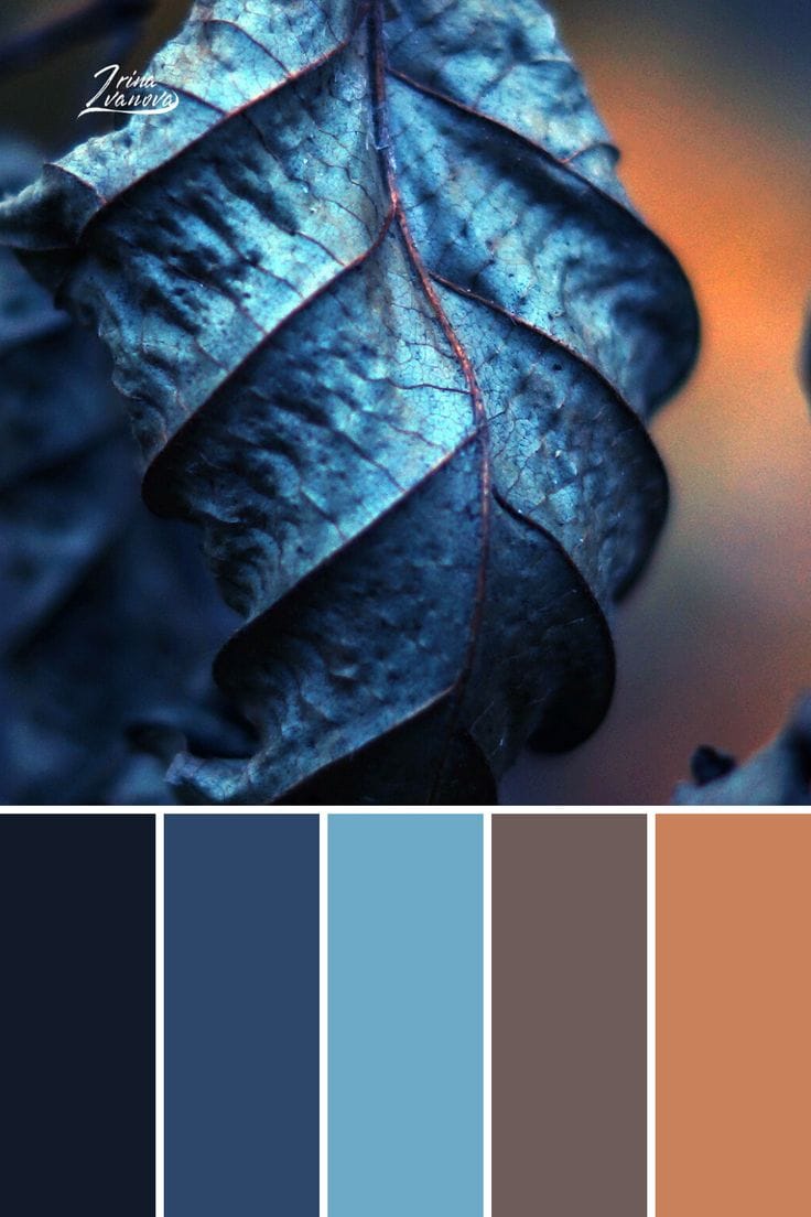 Blue Crush: Mastering the Blue Color Palette for Your Body Type and Personal Style