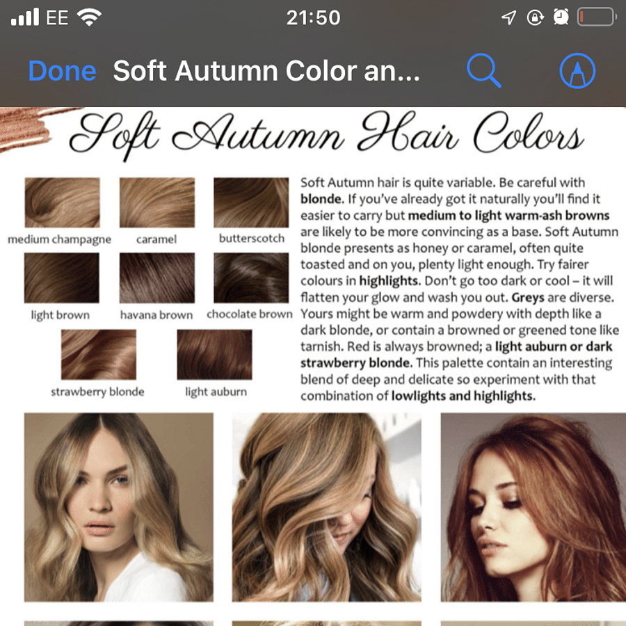 Collage of Soft Autumn Color Palette for Fashion