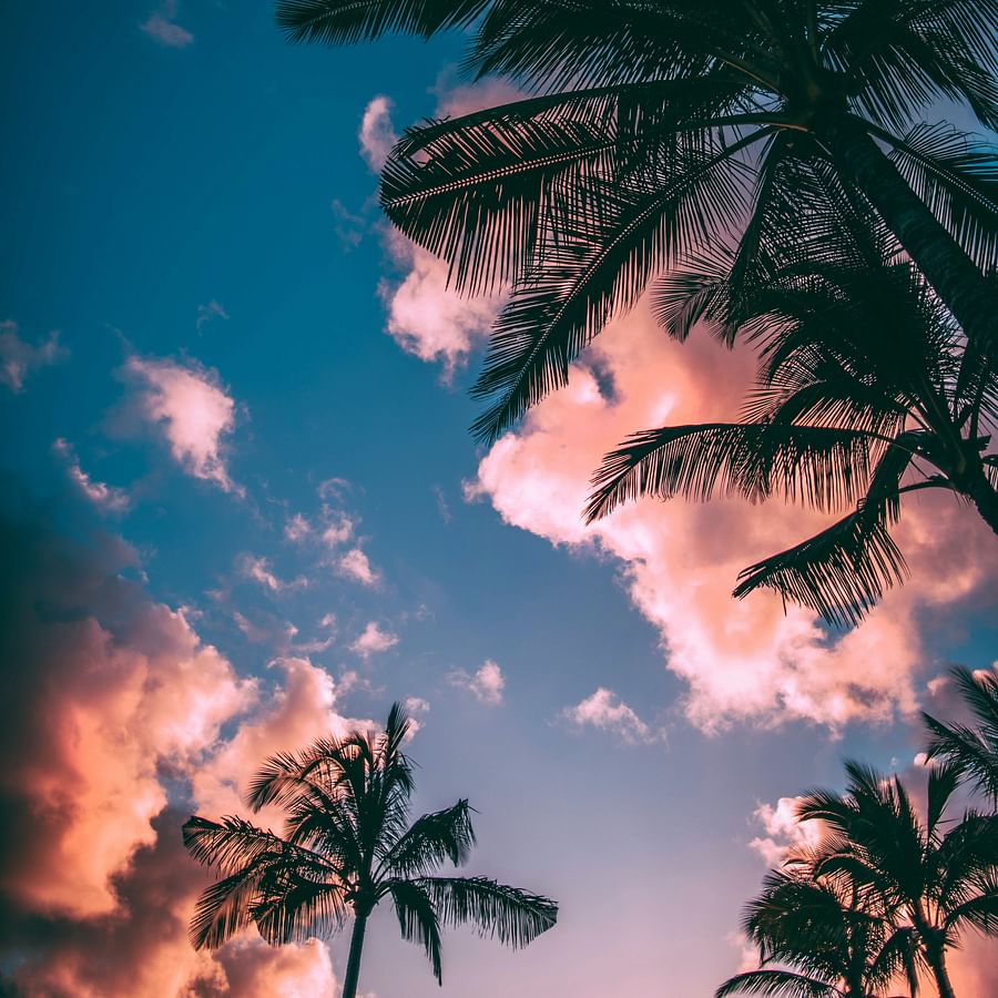 Collage of various summer hair colors